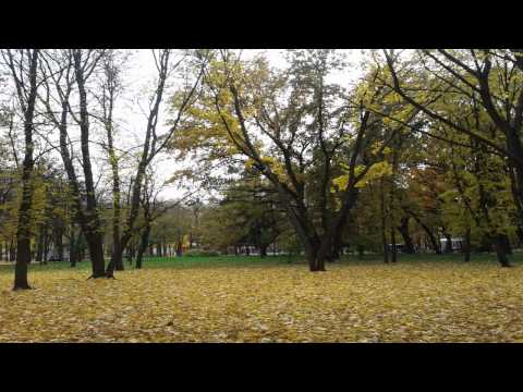 YouTube Трейлер