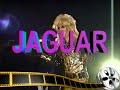 jaguarさん