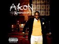 I Wanna Love U - Akon - Konvicted