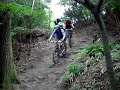 trio los ohos!!