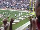 Texans are Beast
