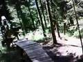 Biketrail Schwanden Brienz@bergvelo