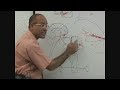 USMLE Step 1 - Neuroanatomy Lecture - CNS - Blood Supply to Brain 11/11