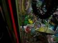 Thundercats Snarf Toy Won in 2006?!