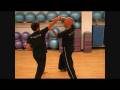 videos de Open Palm Strike Demo - Pak Hok Pai