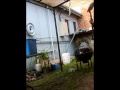 Click here to watch this video bogan survival guide