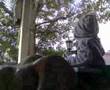 videos de 26062008(003)