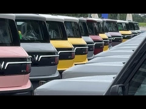 Một rừng VinFast VF 3!!!