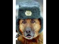 клип прога