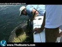 Inflatable Sales Up, Fish Facts on Grouper Inflatable Sales Up, Fish Facts on Grouper