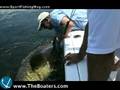 Inflatable Sales Up, Fish Facts on Grouper