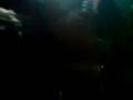 videos de The Kooks live in München - Do you Wanna?