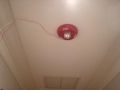 System (expantion) Test 19
