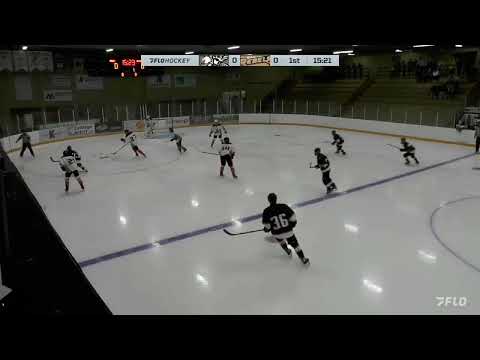 Assist: 1st Point in 1st Game Junior A Canada - D #2 White - Bo Stevens vs. Beaver Valley Nitehawks 9/10/24