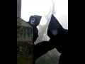 Psycho Devils - Schizophrenes Verhalten
