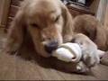 うなぎボーン動画2