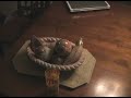 StopMotion