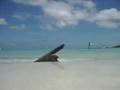 Beer Can Island