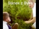 Go?cino Banek z Byka Go?cino Banek z Byka