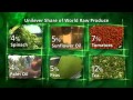 Unilever - Building Sustainable Brands