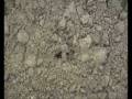 videos de CSC Movie.wmv