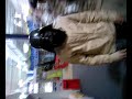 la ossi on s� tro amus� avk des mask et tou ............
et rayann : on est dans un magasin bolosse