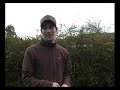 D slr timelapse tutorial