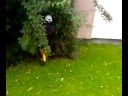 gek doen