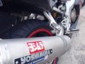 Superbike Honda CBR600 F4i