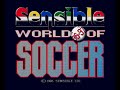 SWOS Sensible World of Soccer Amiga