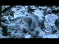 Elane - Crystal Clear Water