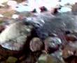 Cascatas piraí