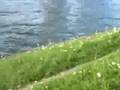 Gedichte / Poems