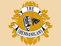 The Shennanigans - Heartbeat