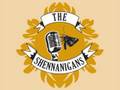 The Shennanigans - Heartbeat
