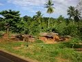The Road to Pangani