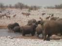 Etosha - waterhole.MP4