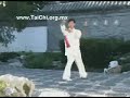 Yang Tai Chi Sword by Yang Jun