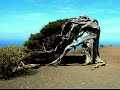 Isla de El Hierro (Islas Canarias)