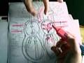 Basic Gross anatomy of the human heart