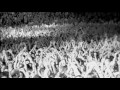 Oasis - Let There Be Love (Demo Version)
