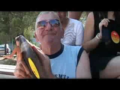 Image de prévisualisation YouTube