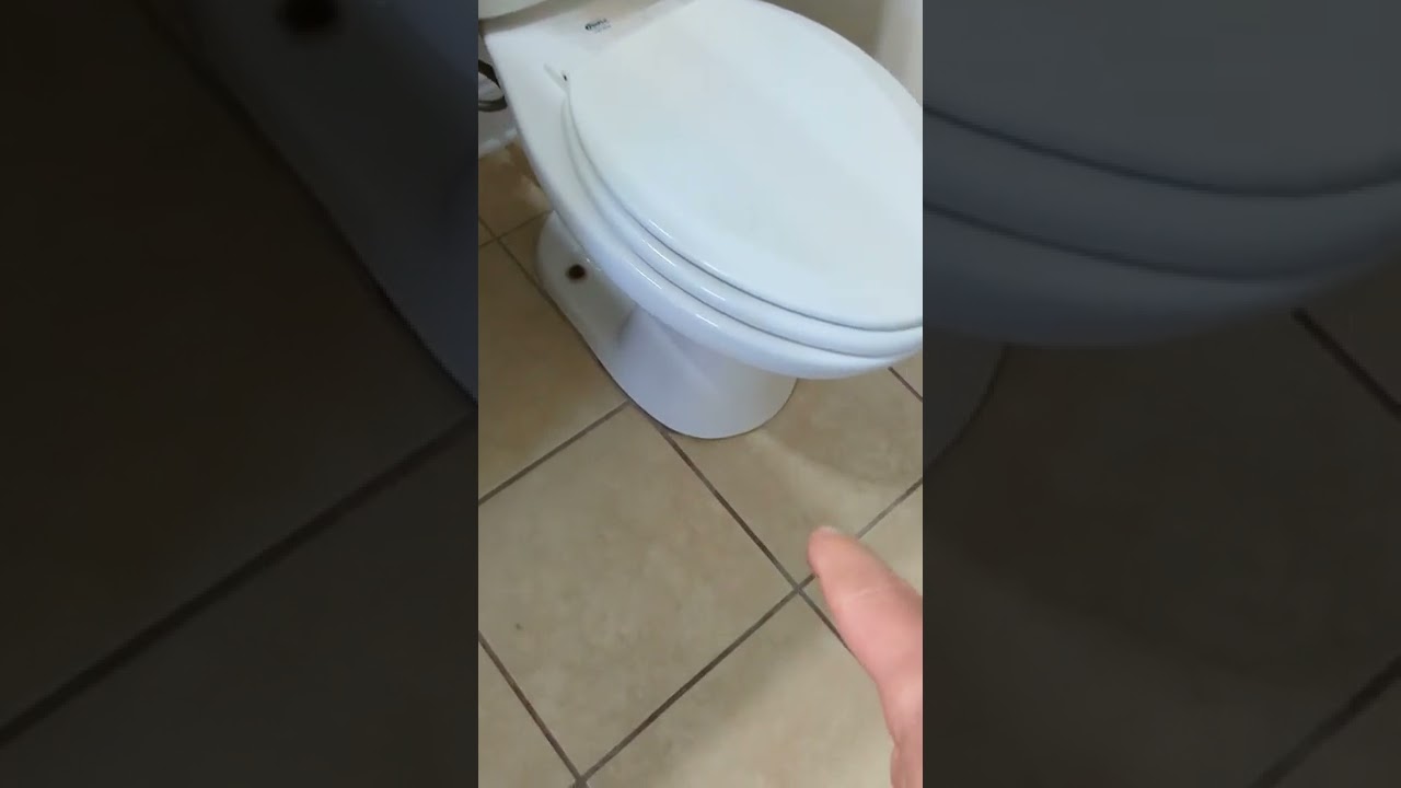 Loose Toilet