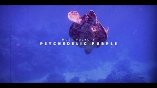 MUST VOLKOFF FT. SONNYJIM - Psychedelic Purple (VIDEO)