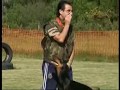 Britta Victoria v/d Fivelborgh - Obedience II