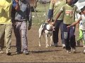 16nov08 carrera 9.avi