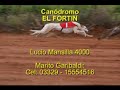 16nov08 carrera 9.avi