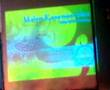 Munawwar ketika Malam Kesenian Islam 2006