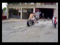 aro 19\" moto custon