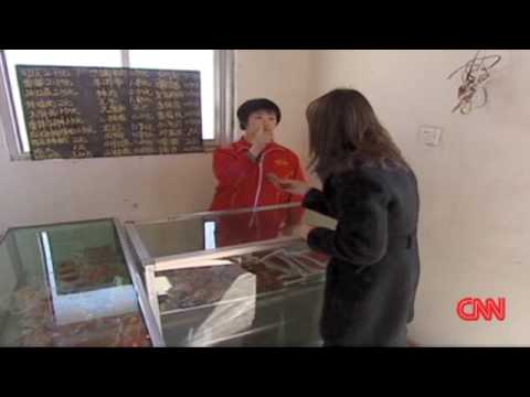 Competent Learner Model - At a special school in China, mentally disabled students learn vocational skills. CNN's Emily Chang reports.